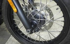 TRIUMPH SCRAMBLER 900 2025