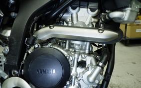 YAMAHA WR250X DG15J