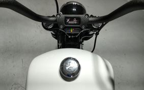 HARLEY FXBBS1870 2021 YYK