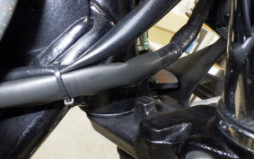 KAWASAKI W800 2018 EJ800A