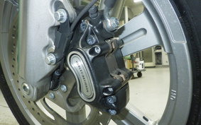 HARLEY FXST1750 2024