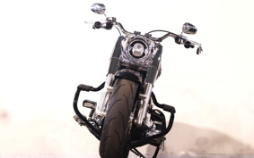 HARLEY FLFBS 2022 YGK