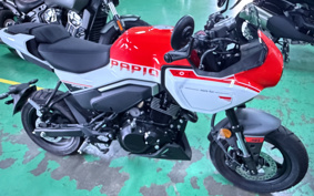 OTHER CFMOTO XO-1 PAPIO