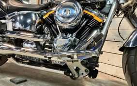 HARLEY FLSTFI 2025 BD9