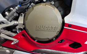 DUCATI 1199PANIGA-RES 2013