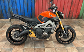 YAMAHA MT-09 2014 RN34J
