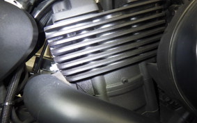 HARLEY XG750 STREET ROD 2019