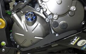 KAWASAKI NINJA ZX-6R A 2019 ZX636G