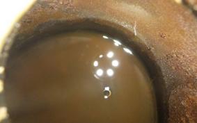 HONDA C50 SUPER CUB C50