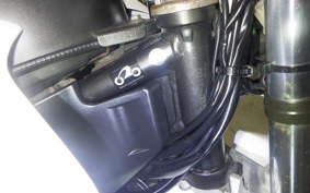 YAMAHA SEROW 250 2008 DG11J