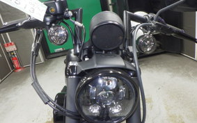 HARLEY XL883N 2015