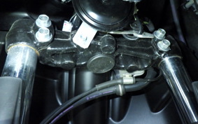 YAMAHA CYGNUSｸﾞﾘﾌｧｽ SEJ4J