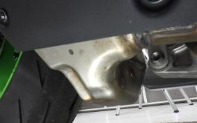 KAWASAKI NINJA ZX-6R A 2025 ZX636J