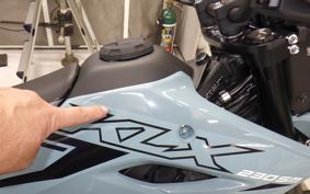 KAWASAKI KLX230 SM LX232A
