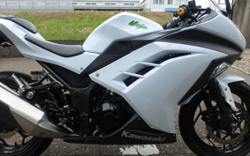 KAWASAKI NINJA 250 EX250L