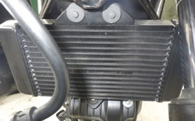 HONDA VTR 250 Gen. 2 2019 MC33