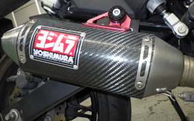 KAWASAKI Z125 PRO 2009 BR125H