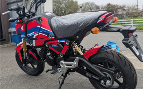 HONDA GROM JC92