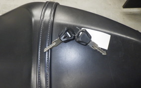 TRIUMPH TRIDENT 660 2021