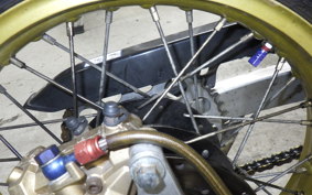 YAMAHA TDR250 2015 2YK