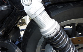HARLEY L1200LI 2010