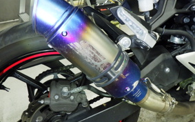 KAWASAKI NINJA 250 2010