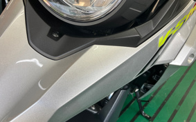SUZUKI STROM 250ABS DS12E
