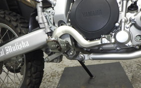 YAMAHA WR250R 2022 DG15J