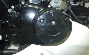 HONDA GROM