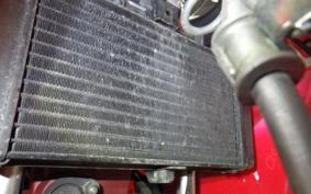 OTHER +GPXﾃﾞｰﾓﾝGR200R 2016