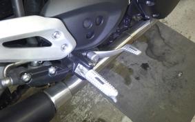 TRIUMPH SPEED TWIN 2020