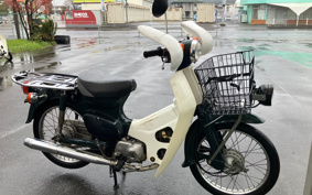 HONDA SUPER CUB50 C50