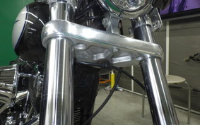 HARLEY FXDL 1580 2013