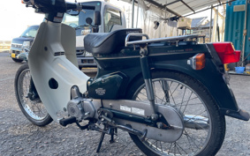 HONDA SUPER CUB50 C50