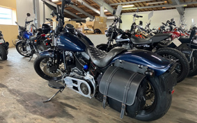 HARLEY FLSTSB 2008 JM5