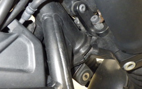 HONDA REBEL 250 S 2006 MC49