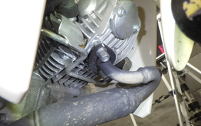 HONDA C110 SUPER CUB JA59