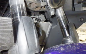 YAMAHA YZF-R25 A 2006 RG10J