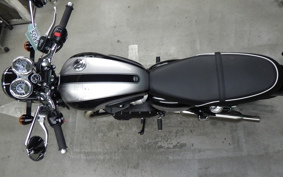 TRIUMPH BONNEVILLE T100 2025