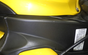 YAMAHA YZF-R1 2010