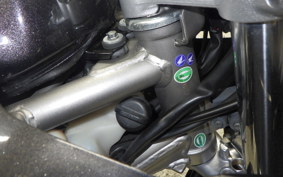 HONDA VTRF250 2016 MC33