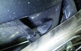 HONDA STEED 400 1999 NC26