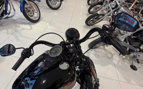 HARLEY FLSTSB 2011 JM5