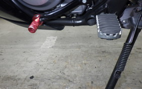 HONDA CRF250 GEN 2 RALLY 2025 MD47