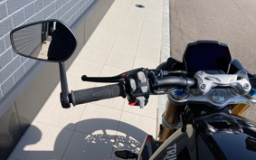 TRIUMPH  TRIUMPH SPEED TRIPLE RS 2024 S3P01S