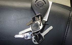 HARLEY FXLRST1920 2022