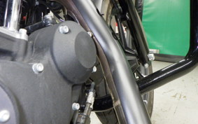 HARLEY XL883N 2015