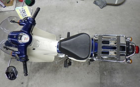 HONDA C110 SUPER CUB 2009 JA44