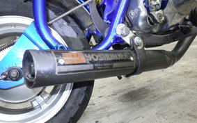 HONDA MONKEY 2008 Z50A