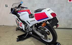YAMAHA FZR250 2KR